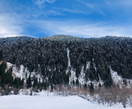 Svaneti Winter