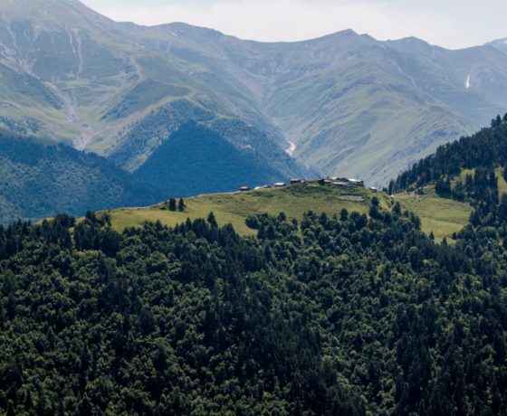 Tusheti