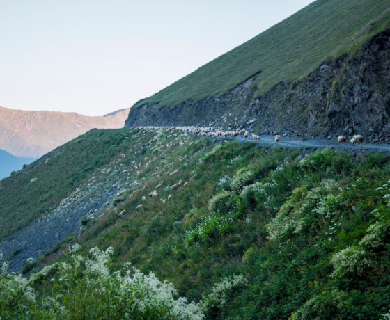 Tusheti