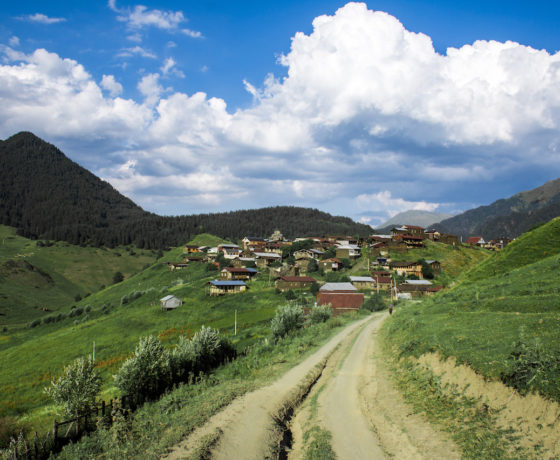 Tusheti Diklo