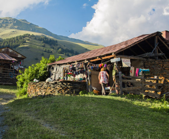 Tusheti Diklo